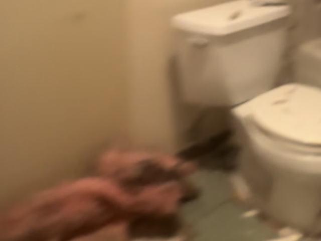 Bathroom floor covered in insulation and drywall scraps before removal